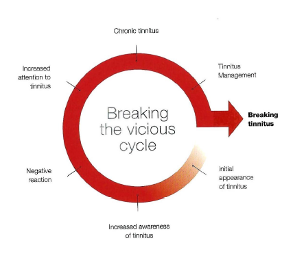Breaking the vicious cycle: chronic tinnitus, increased attention, negative reaction, increased awareness, initial appearance, tinnitus management